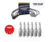 NGK Ignition Leads + Spark Plugs for Holden Statesman WH 3.8L L67