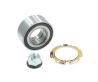 1x Front Wheel Bearing for Renault Trafic X83 2004-2015