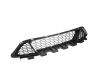 NEW Front Bumper Bar Grille Lower Grille For Ford Falcon FG Ser 1 XR6 XR8 08~11