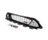 NEW Front Bumper Bar Grille + XR6 Badge Red For Ford Falcon FG Series 1 08~11