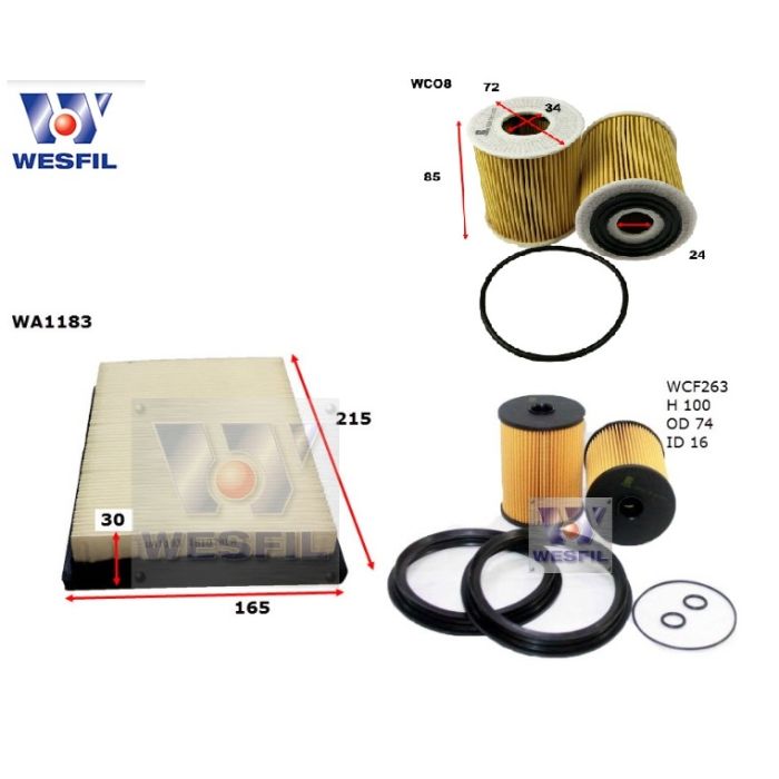 Wesfil Oil Air Filter Set for Mini Cooper R50 R52