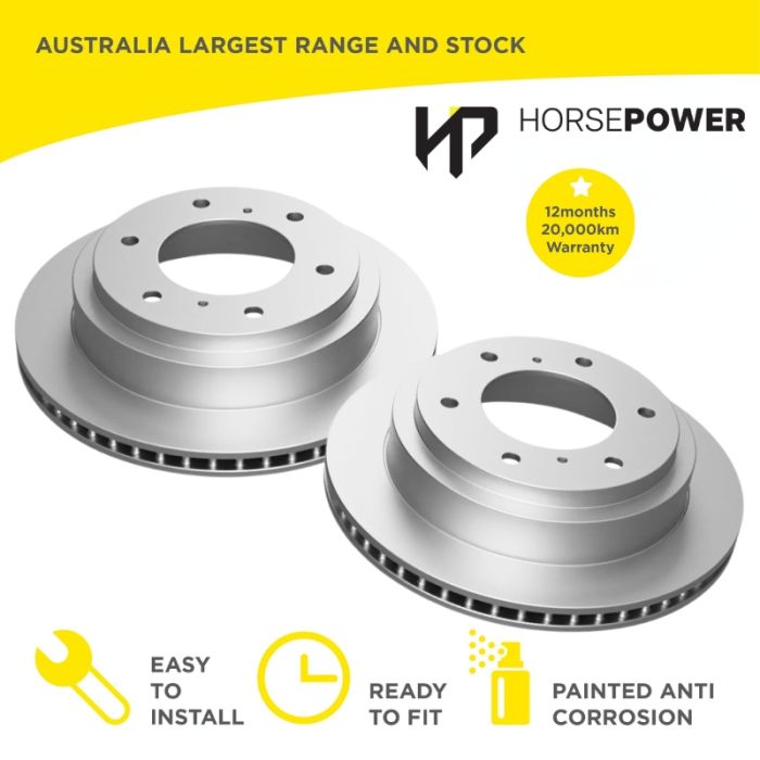 Rear Brake Disc Rotors for Mitsubishi Pajero NM NP 2000-2006